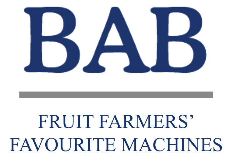 Logo-Bab-Bamps